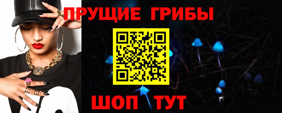 Псилоцибиновые грибы Psilocybe  как найти наркотики  Галлюциногенные грибы прущие грибы  Феодосия  Вход с VPN 